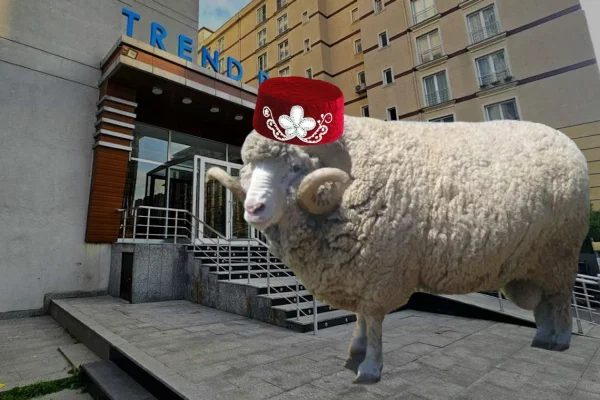 Sana sürpriz var – canlı koç! şaka görseli